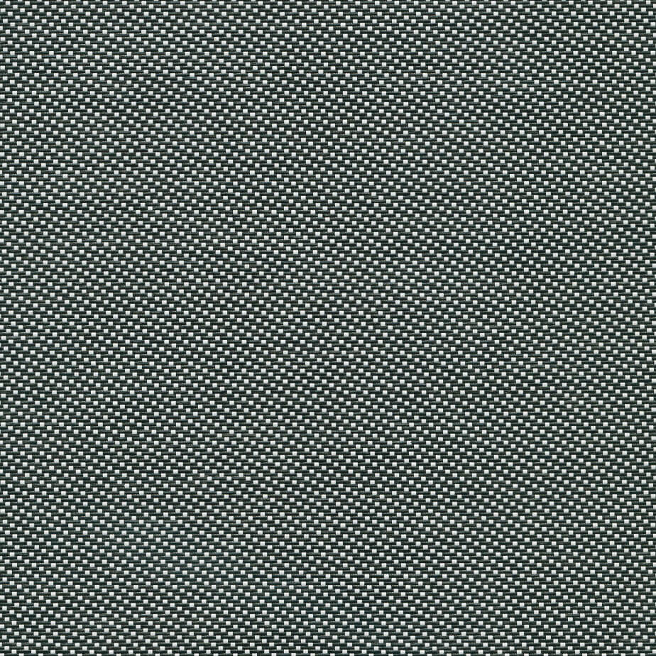 Chalk/Black