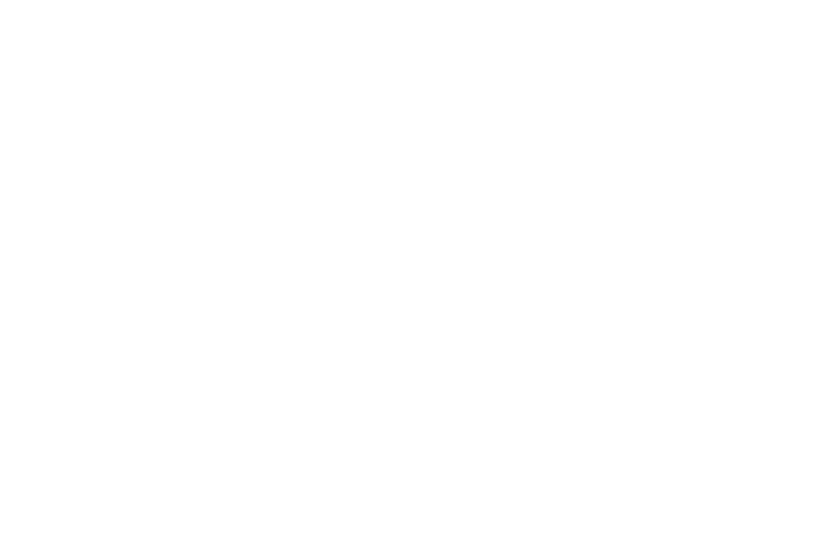 CarbonBlack Viewing Cones