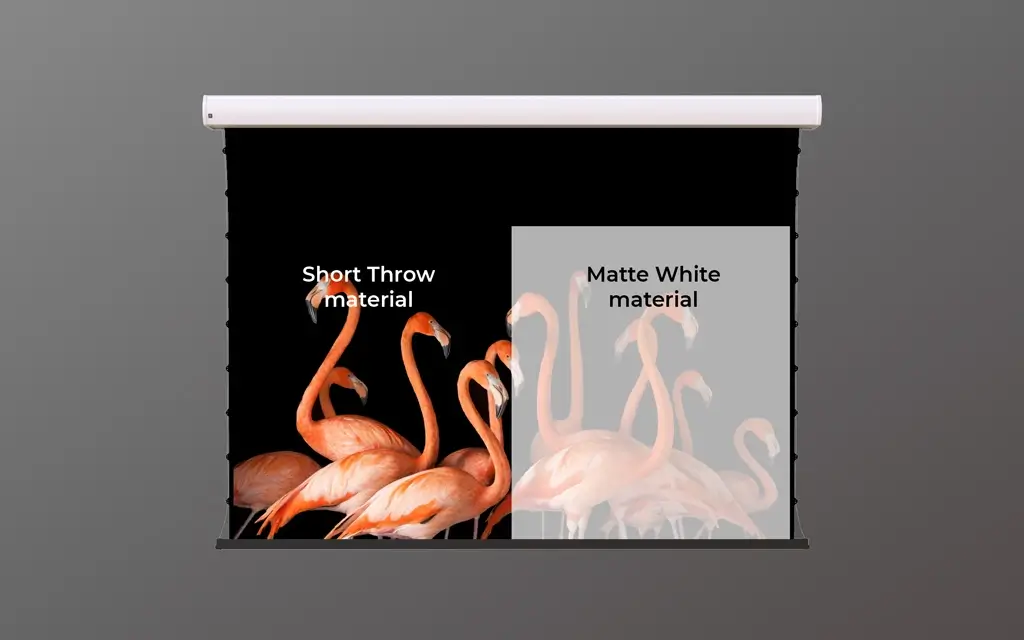 Short Throw Motorized – Short Throw vs Matte White Short Throw vs. Traditional White/Grey Screen