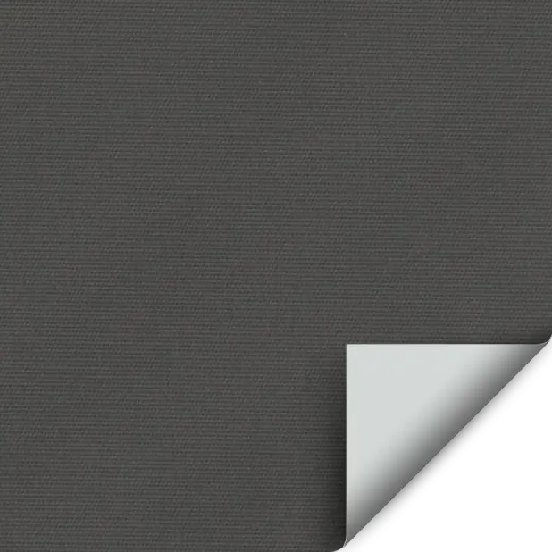Zora Twilight - Graphite/White