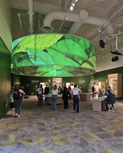Cleveland Museum - FlexGlass®