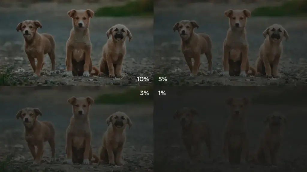 Dark Fabric Dark Fabric