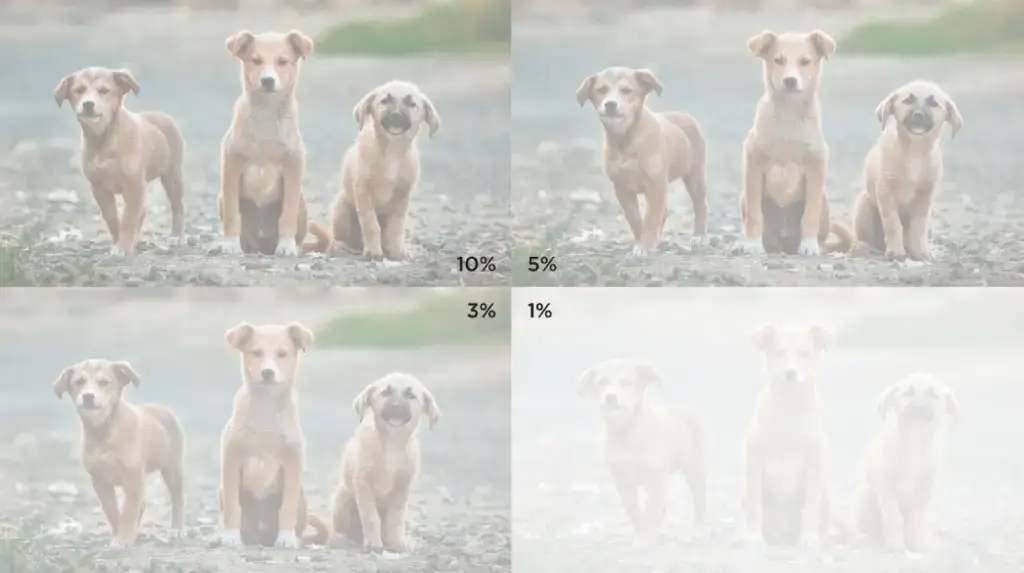 Light Fabric Light Fabric