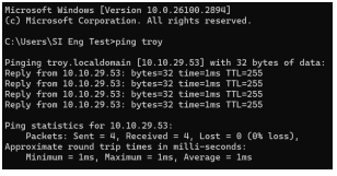 Ping TRO.Y result showing IP address