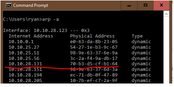 ARP command results