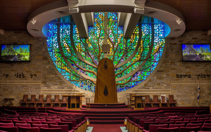 Congregation Shalom Zero-G