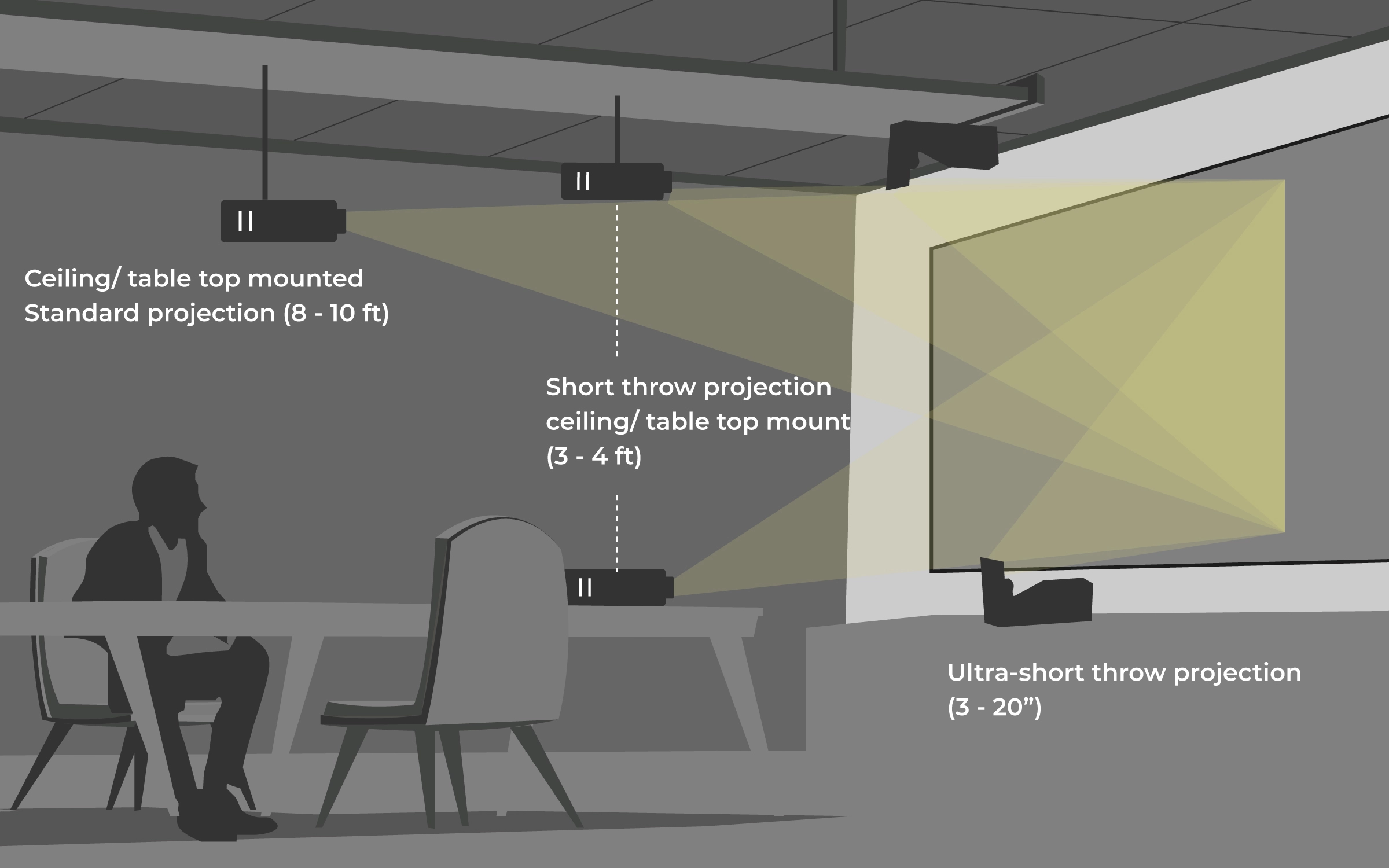 CarbonBlack Projector Options