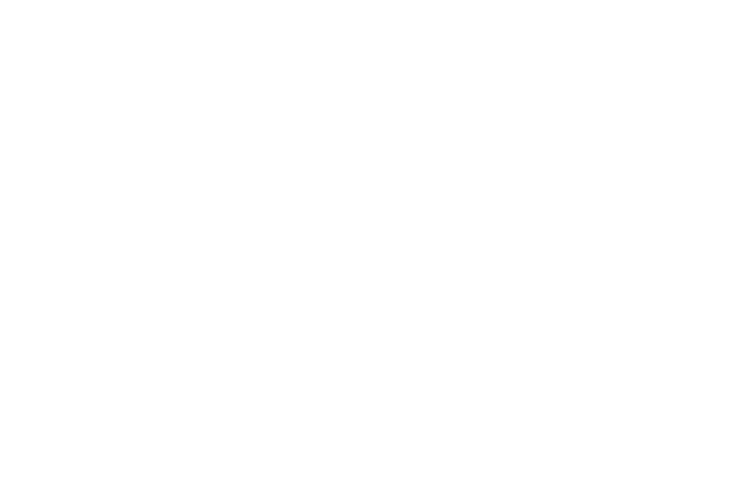 CarbonBlack Viewing Cones