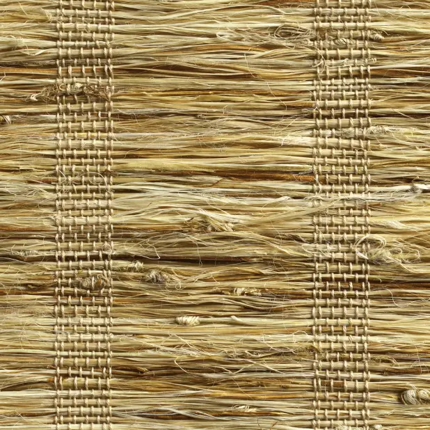 Orithyia - Ramie 427