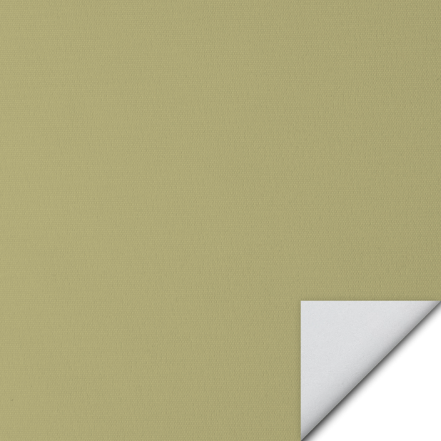 Orithyia - Yellow